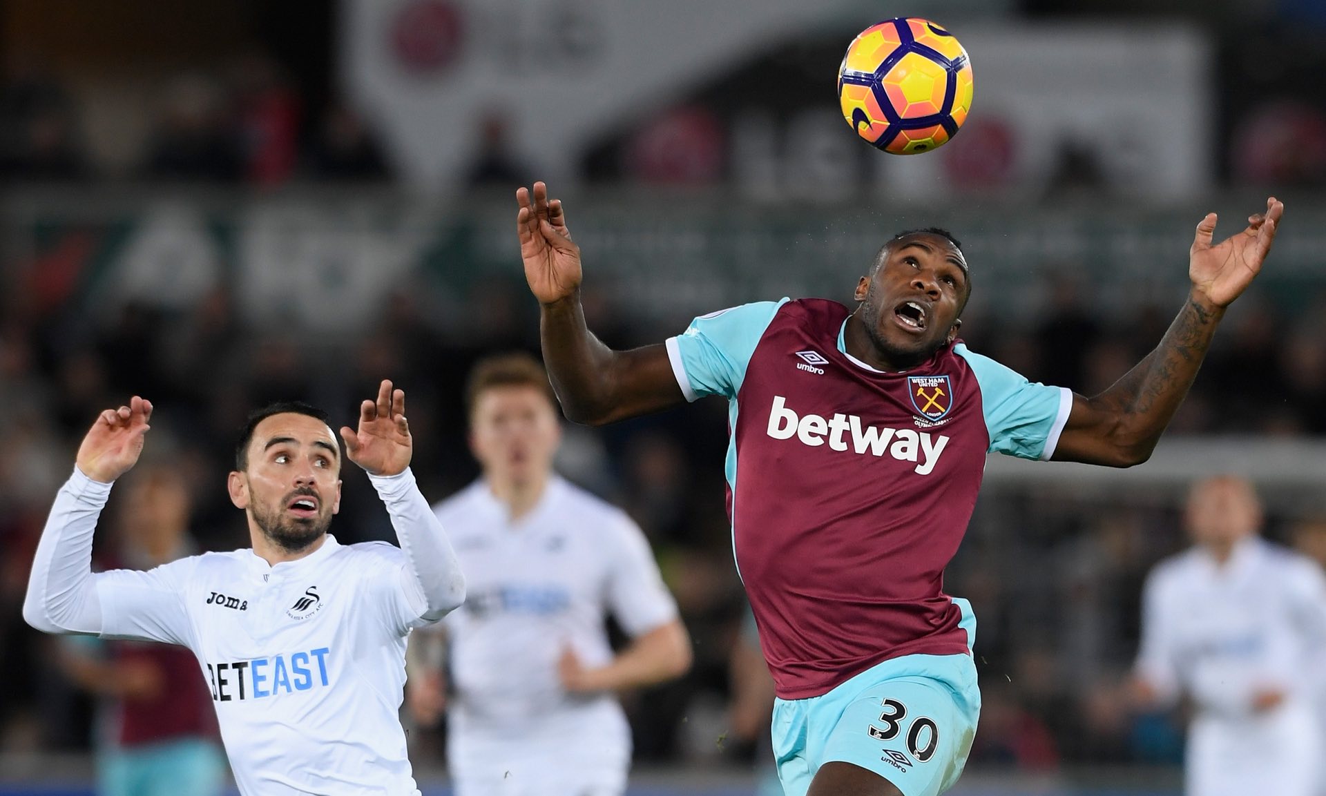 城阵中的青 城阵中的青