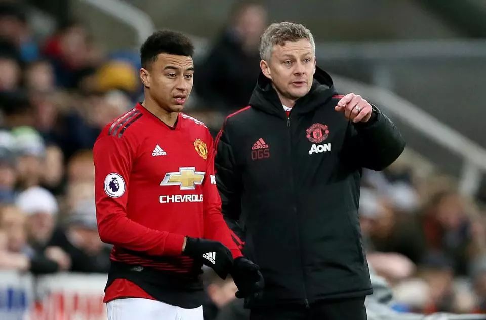 了精英運動 了精英運動